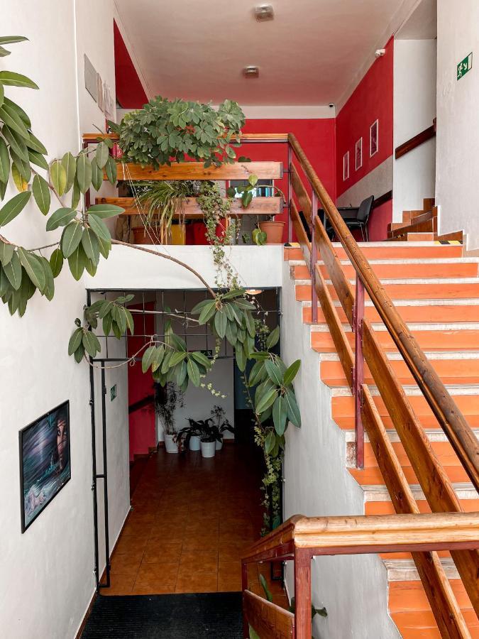 JP ubytování Loštice Exterior foto